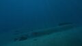 Thumbnail for version as of 22:30, 5 July 2017
