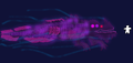 Thumbnail for version as of 14:48, 8 August 2020