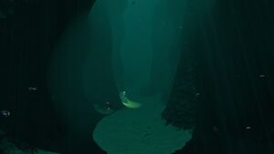 DeepSparse6-3.jpg