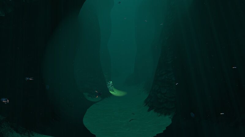 File:DeepSparse6-3.jpg