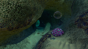 MushroomCaveBottom.png