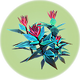 Voxel Shrub.png