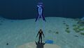 Size comparison to the Player