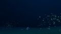 Deepest point of the area