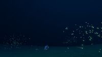 Deepest point of the area