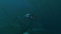A Reaper Leviathan guarding the crashed spaceship