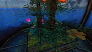 Fern Palm Degasi Observatory.png