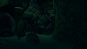 MushForestCacheBack1.png