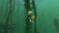 A Hoverfish killed with the module