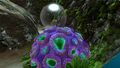 A Purple Brain Coral in the Kelp Forest