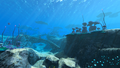 Thumbnail for version as of 02:43, 7 August 2021