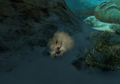 Shot of a Shuttlebug in the dust