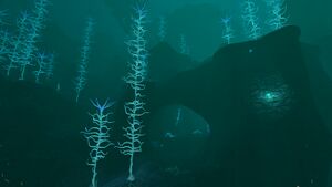 BloodKelpZone2 1.jpg