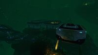 Marguerit Maida's Base