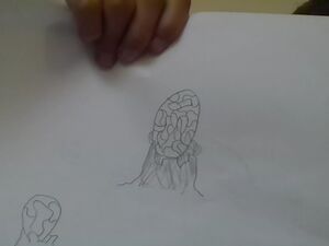 Monacam snapshot (7).jpg