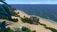 Main part of the Mountain Island's beach