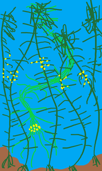File:Vinecreep.png