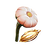 Young Cotton Anemone Seed Icon.png