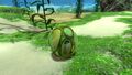 Safe Shallows Egg