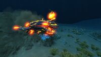 Sandshark infected with Carar.