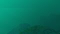 Thumbnail for version as of 14:11, 6 August 2021