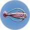 Cured Hoopfish.png