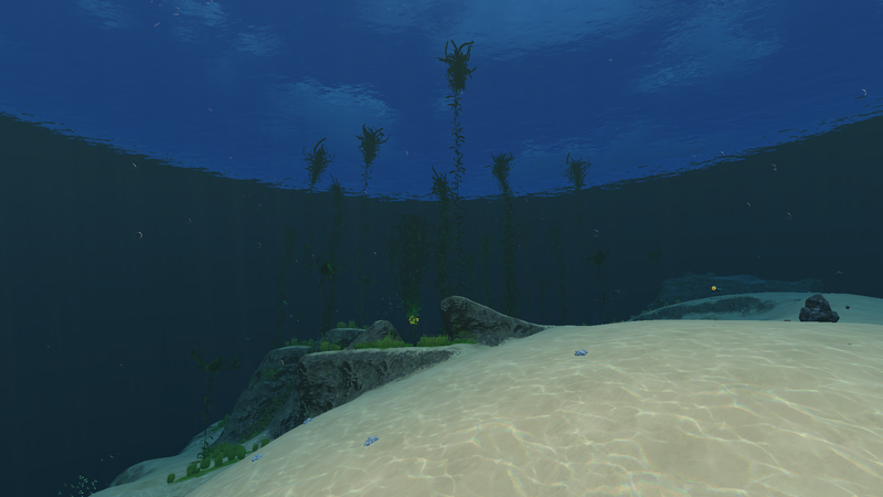 File:Dunes Kelp Forest Transition.png