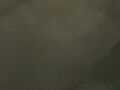 Thumbnail for version as of 11:39, 22 September 2020