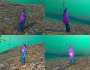 Generic plant 08 in game.jpg