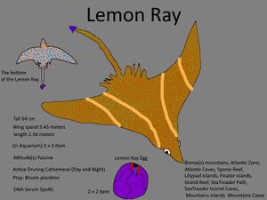Lemon Ray Concept.jpg