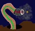 Thumbnail for version as of 13:30, 8 August 2020