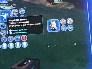 Reefbackegg?.jpg