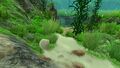 Sandstone in Grassy