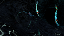 A Blood Crawler in the Trench Blood Kelp Caves