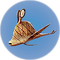 Cooked Garryfish.png