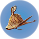 Cooked Garryfish.png