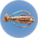 Cooked Hoopfish.png