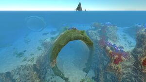 Coral Tube (3).jpg