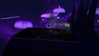 Another outpost