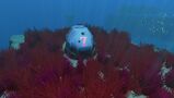 Destroyed Lifepod 7.jpg