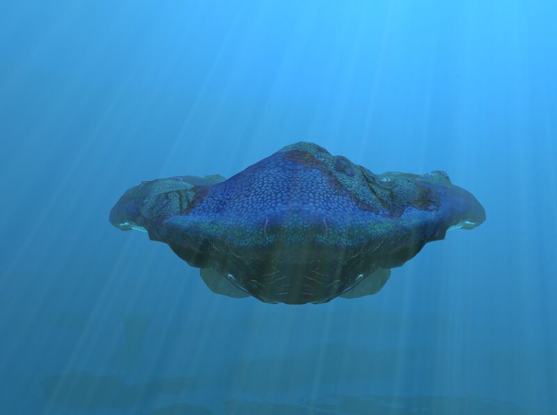 File:Reef-Front.jpg