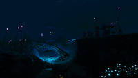Overview at night