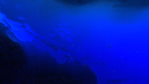 SparseArctic UnderIcesheet.png