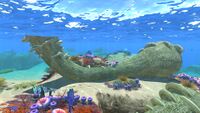 A horizontal Coral Tube in the Safe Shallows