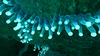 Clustergiftest.gif