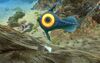 Life-form peeper.jpg