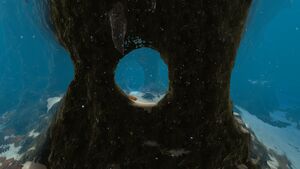 MushroomForestCaveEntrance.jpg