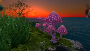 Pink Mushroom (4).jpg