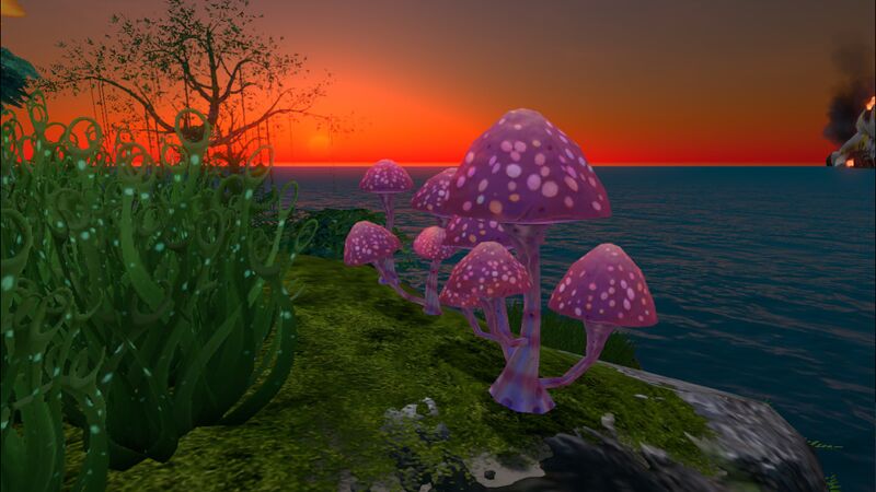 File:Pink Mushroom (4).jpg