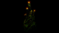 Thumbnail for version as of 00:38, 14 September 2017
